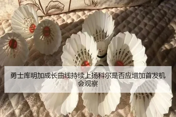 勇士库明加成长曲线持续上扬科尔是否应增加首发机会观察
