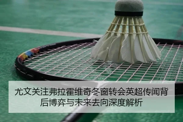 尤文关注弗拉霍维奇冬窗转会英超传闻背后博弈与未来去向深度解析 | c7c7